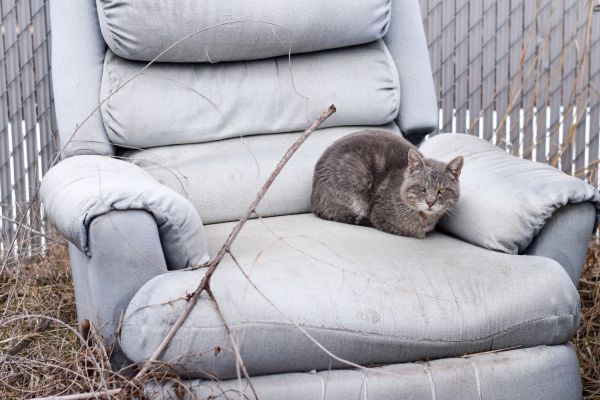 Recliner Disposal in Edmond